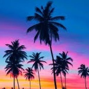 Meet your Posher, Cassidy